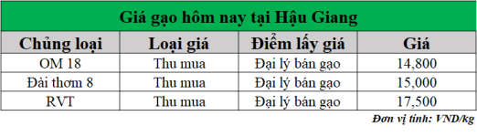 Gia-gao-hom-nay-ngay-8-7-2025.png